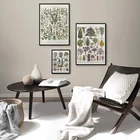 Ботанический учебный плакат дерево арбре сад французская версия идентификация Справочная иллюстрация искусство стены винтажное изображение