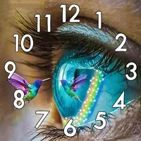 full square 5d diamond painting kit with clock mechanism eye and flying bird cross stitch 3d embroidery mosaic window flower m2