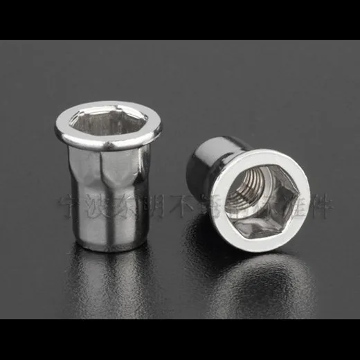 100 шт./лот сквозное отверстие из нержавеющей стали полушестигранная заклепочная