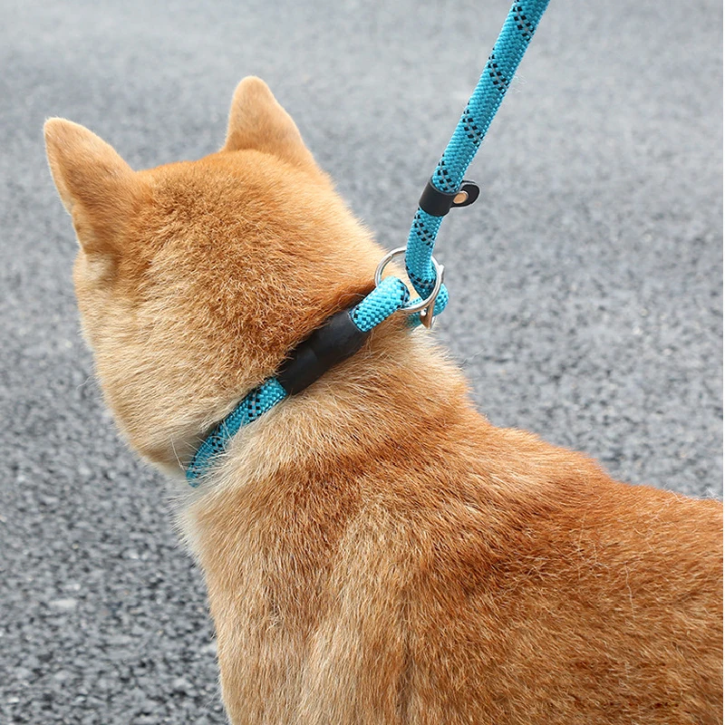 

Reflective P Chain Dog Leash Slip Collar pet Walking Leads Nylon Long Dog Rope soft Double handle For Medium Large Dogs Supplies