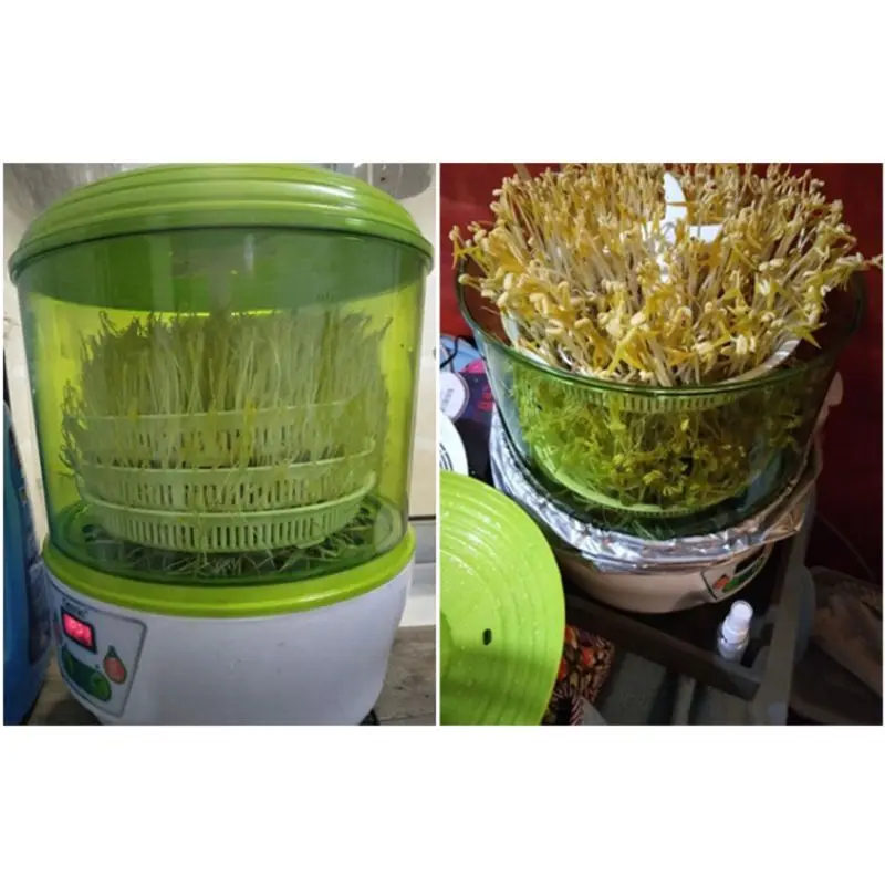 Трехслойная интеллектуальная машина для прорастания автоматические зеленые