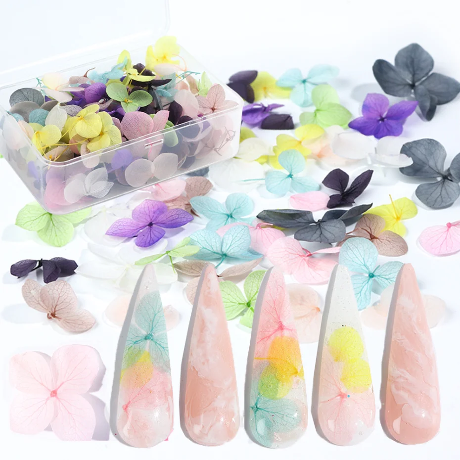 Сушеные цветы украшения для ногтей ювелирные изделия натуральные Цветочные