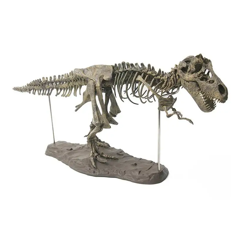 

4D Assembled Large Dinosaur Skeleton Simulation Animal Model Toys Children Self-assembly Dinosaur Bones Home Decoration Ornament