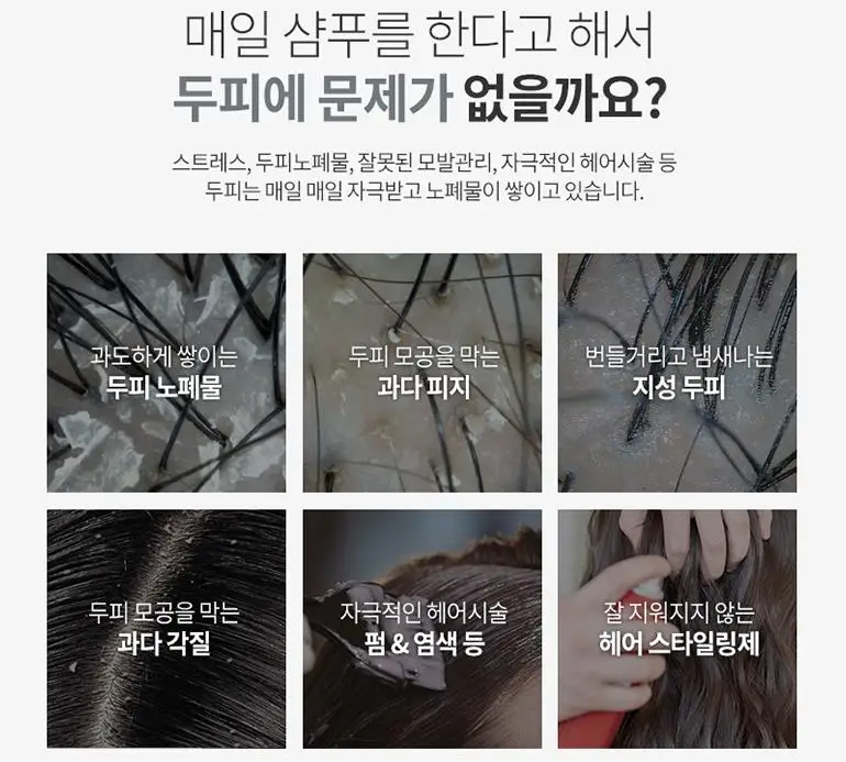 Шампунь LADOR против перхоти 530 мл Очищающий восстановление кожи головы корней