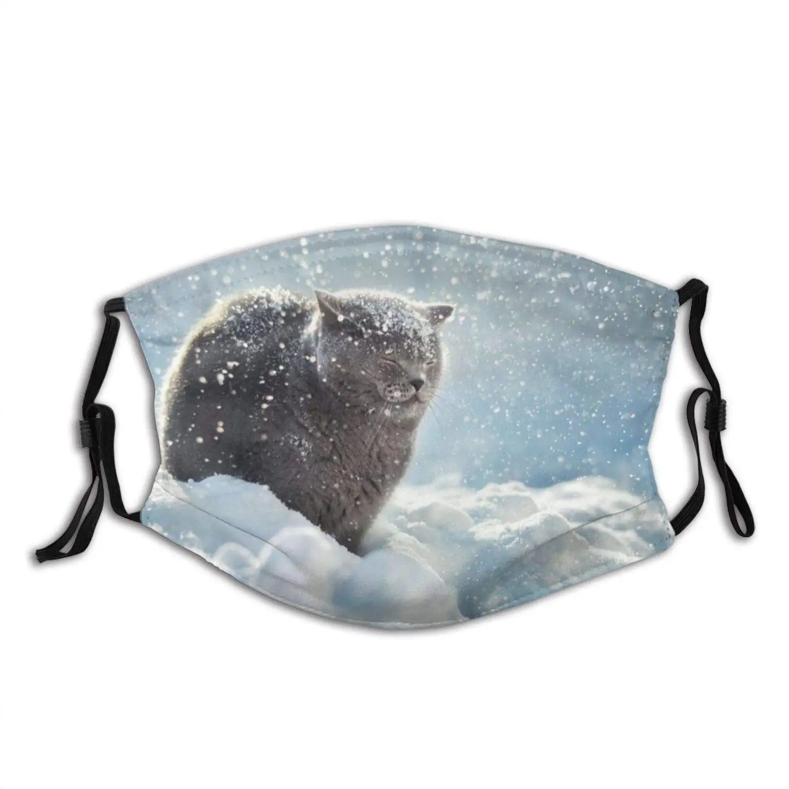 

Cold Cat Animal Print Washable Dust Proof And Windproof Mask Bandana Balaclava Breathable Reusable with 2 Filter for Adult Women