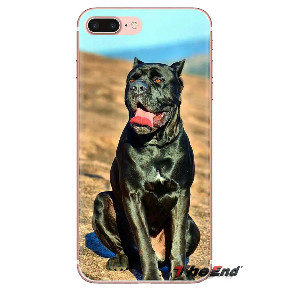 Phone Cover Italian dogs Cane Corso it mastiff For HTC One U11 U12 X9 M7 M8 A9 M9 M10 E9 Plus Desire 630 530 626 628 816 820 830 |