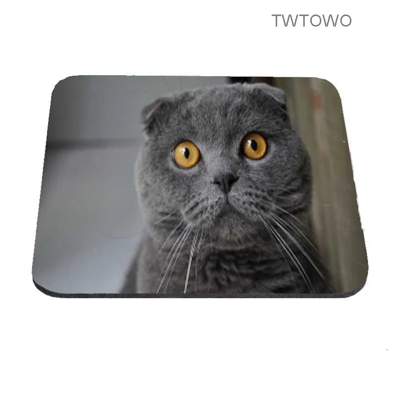 Лучший продажа Настраиваемая игровая коврик для мыши Животные Серый Веселые лежащие кошки Котята Компьютерный ноутбук Прямоугольник Резиновая мышь на.