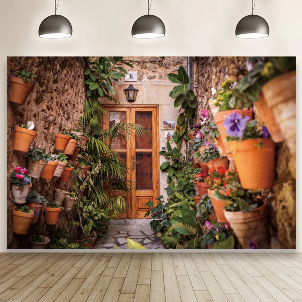 

Цветочный горшок горшечные растения уличный сад живописная фотография Фон девушка день рождения Портрет Искусство фото фон для студийной ...