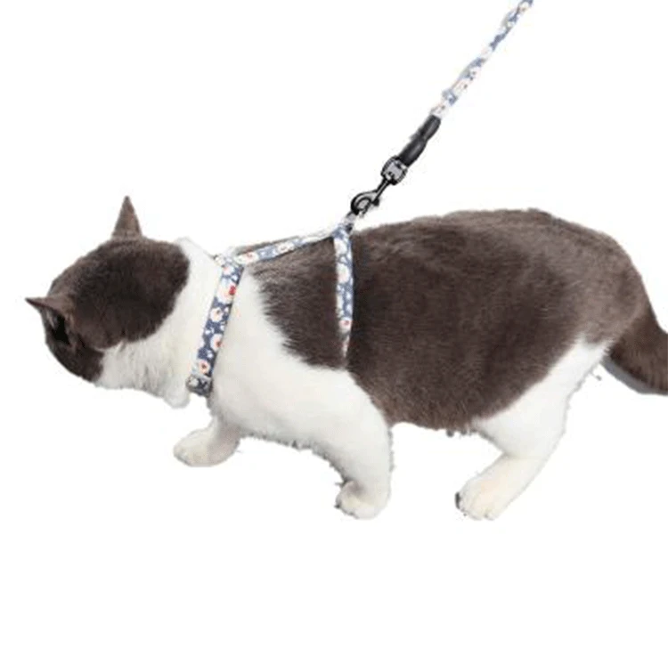 

Cute Breathable Cat Dog Collars and Harnesses Japanese Style Adjustable Pet Harness for Small Medium Dogs Cats Puppy Arnes Perro