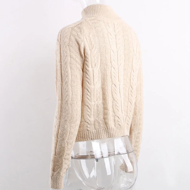 

2019 Autumn Winter Short Sweater Women Knitted Turtleneck Pullovers Casual Fashion Long Sleeve Warm Sweater Hot Sale