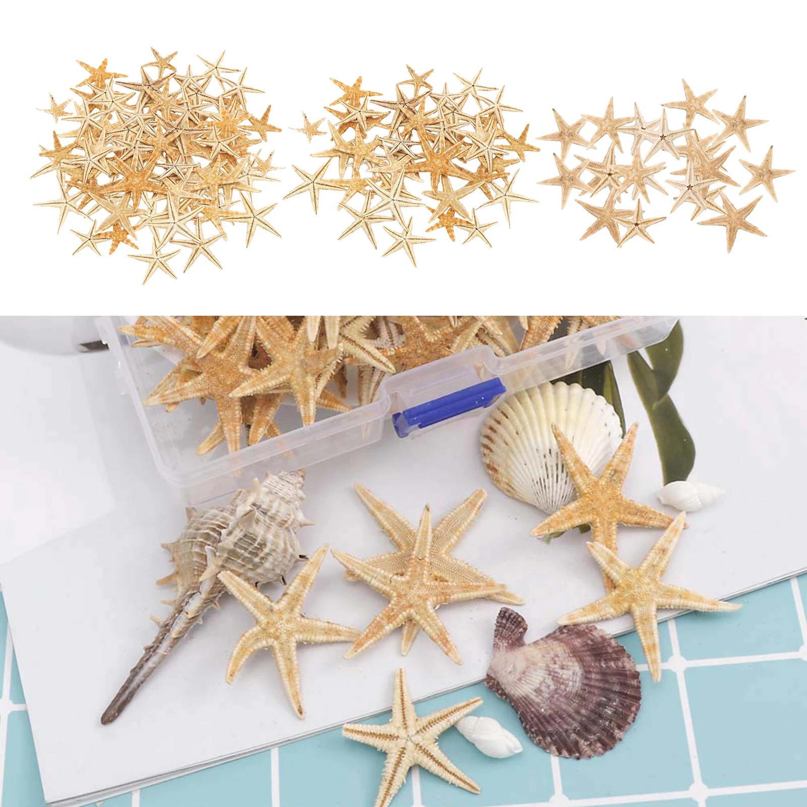 

Mini Natural Sea Stars Starfish Craft Decoration Beach Cottage Wedding Decor
