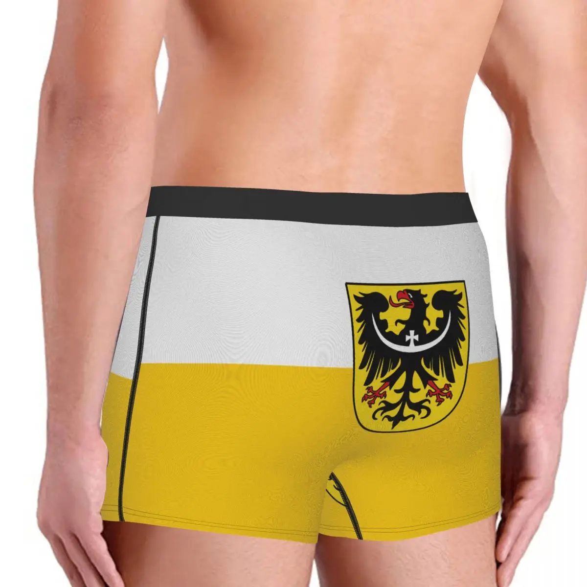 Flag Of Silesia And Lower Silesia (with Eagle) Men's Boxer Briefs German states Funny Joke Men's boxer leggings