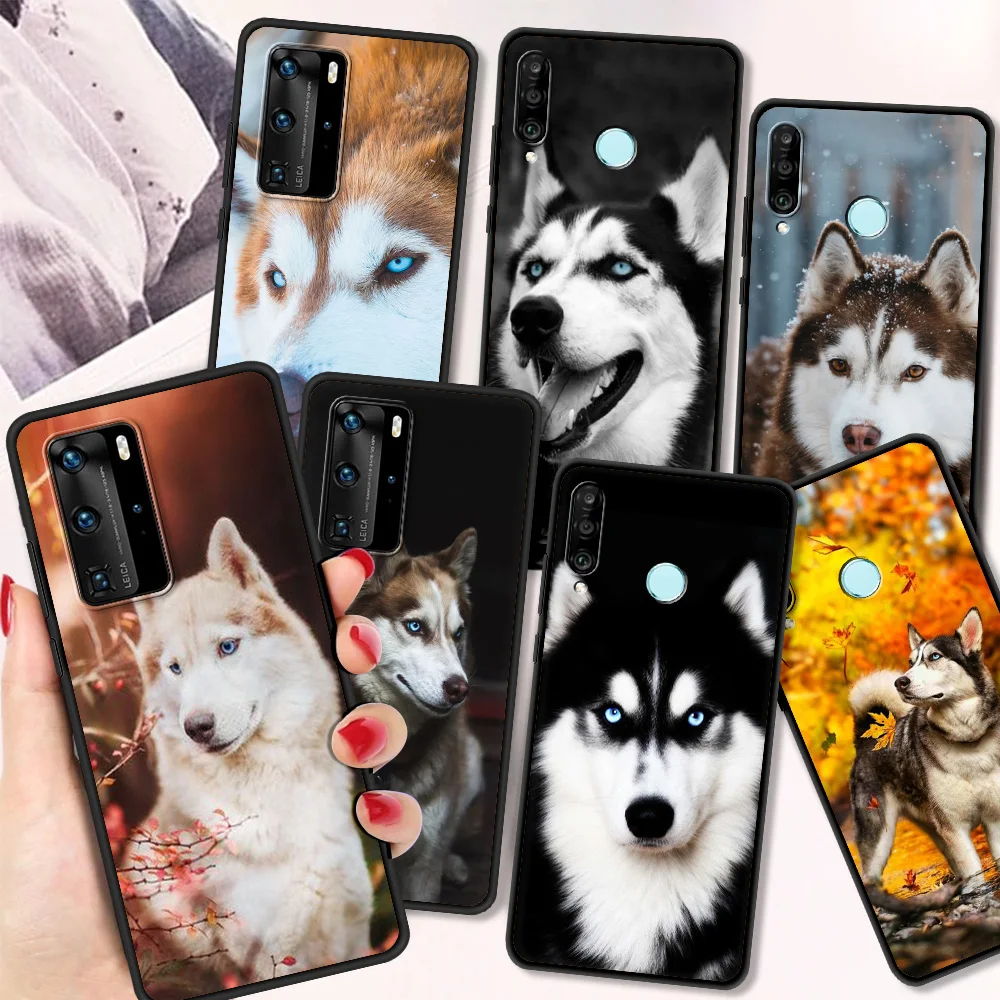 

Siberian Husky Fundas Case For Huawei P30 Pro P40 Lite E P Smart Y6 Y7 2019 Phone Cover Soft For Huawei P30 Lite Shell Silicone