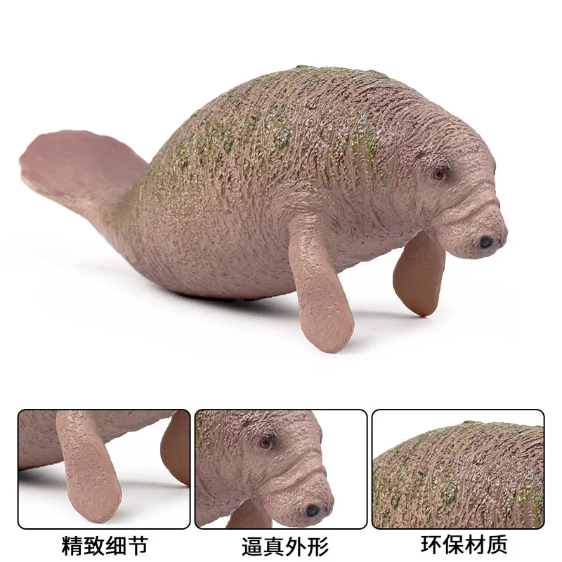 Экшн-фигурки животных Manatee коллекционные когнитивные игрушки из ПВХ |