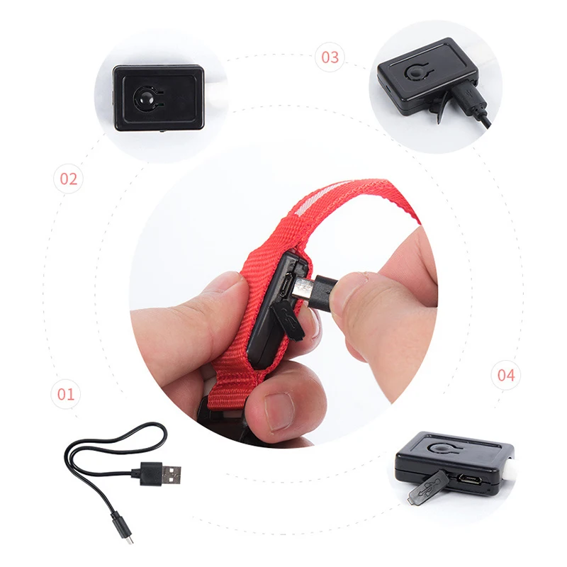 Usb зарядка Led собачий ошейник Ночная безопасность мигающий светится в темноте