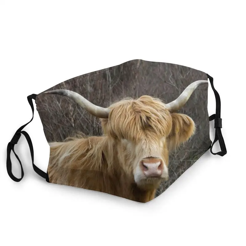 

Шотландский крупного рогатого скота Highland корова маска моющиеся Для мужчин животное уход за кожей лица маска против дымки пыле защитный рес...