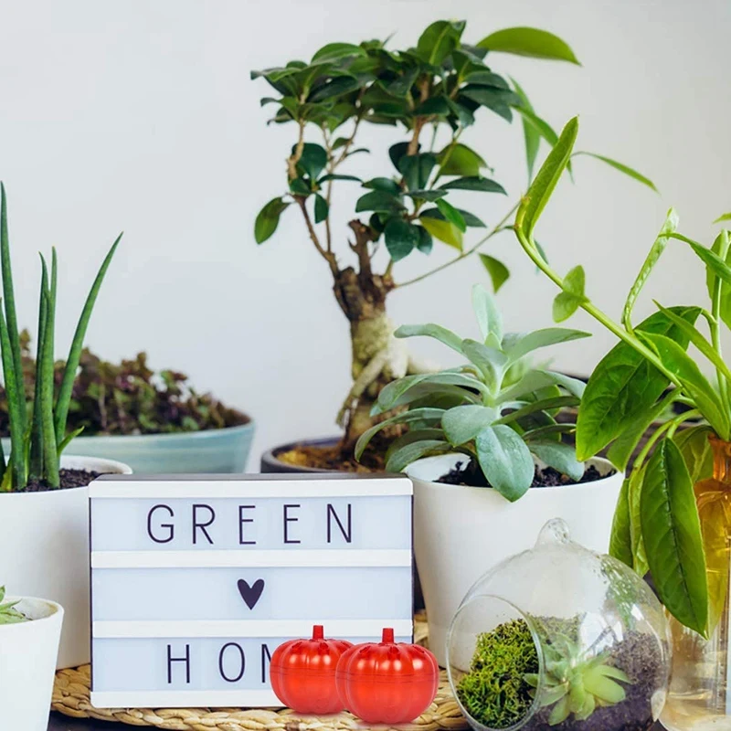 

2 Pieces of Fruit Fly Trap Indoor, Gnat Killer, Family Fly Trap