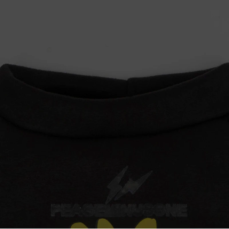 

2021 new no Hoodies dog clothes Sweatshirt Sweatshirts for small dogs cat cats Winter french bulldog pug Pet costume daisy big a