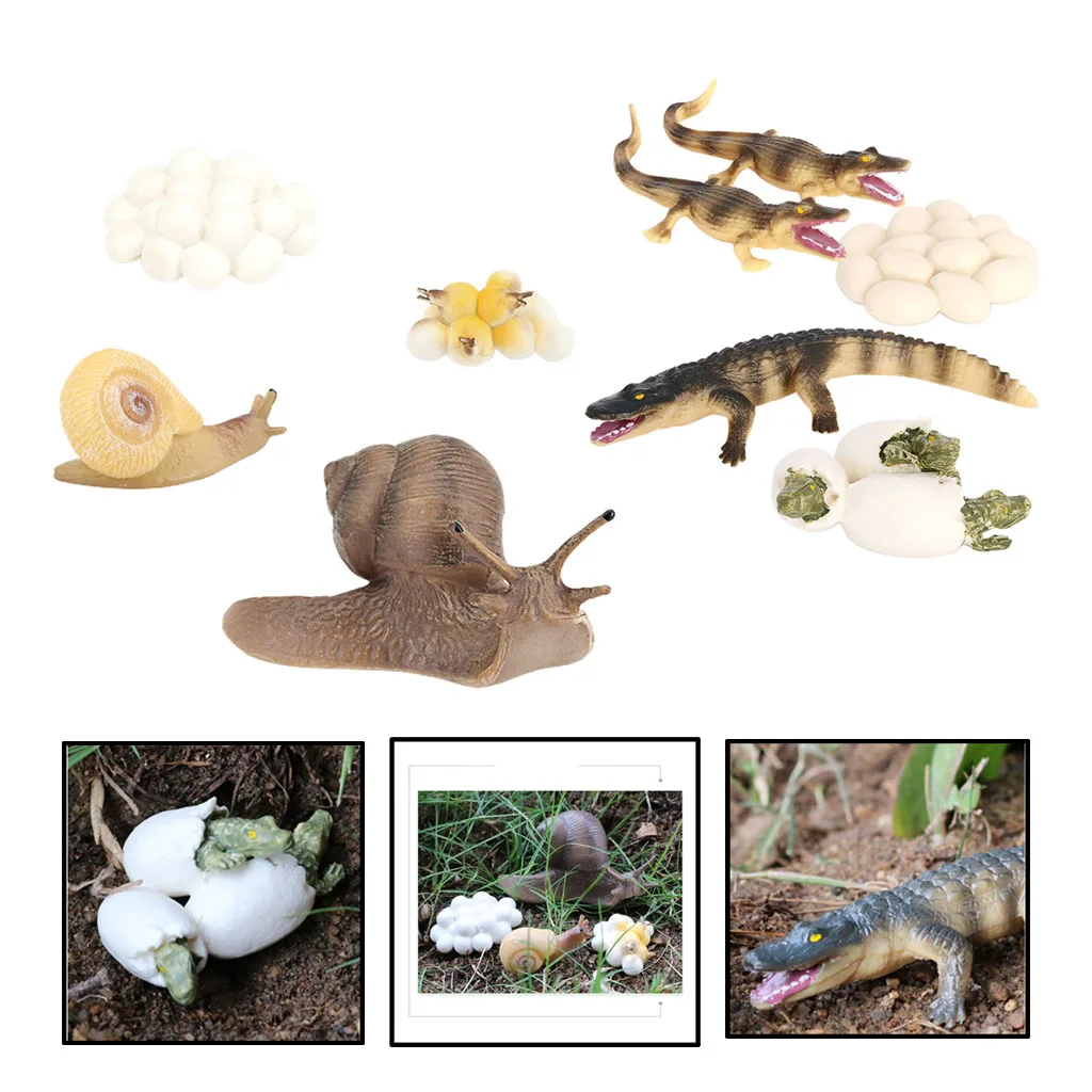Juego de simulaci&oacute;n de animales para ni&ntilde;os, 2 juegos, figura de cocodrilo, Caracol, proceso de crecimiento-1