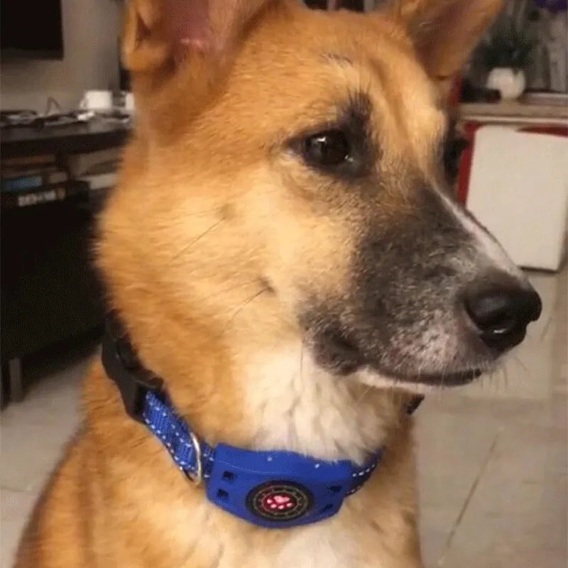 Умный GPS практичный ошейник для собак водонепроницаемый трекер домашних