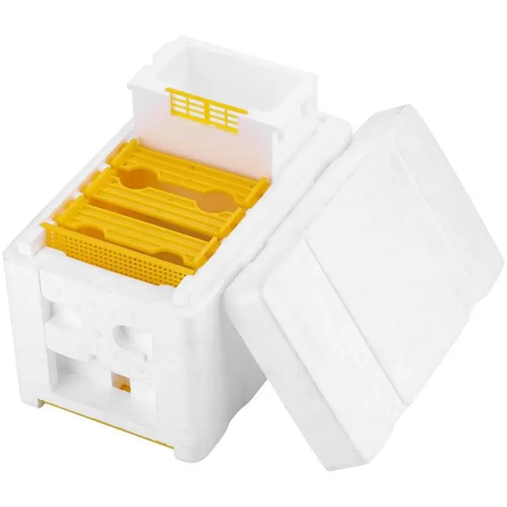 

Bee Hive Holder Beekeeping King Box Pollination Box Foam Frames Beekeeping Tool Kit Harvest Bee Hive Case Beekeeper Tools