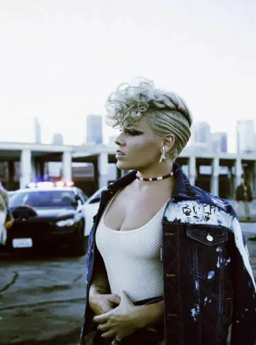 Alecia Beth Moore P!nk розовый музыкальный певец звезда Шелковый постер наклейка на стену