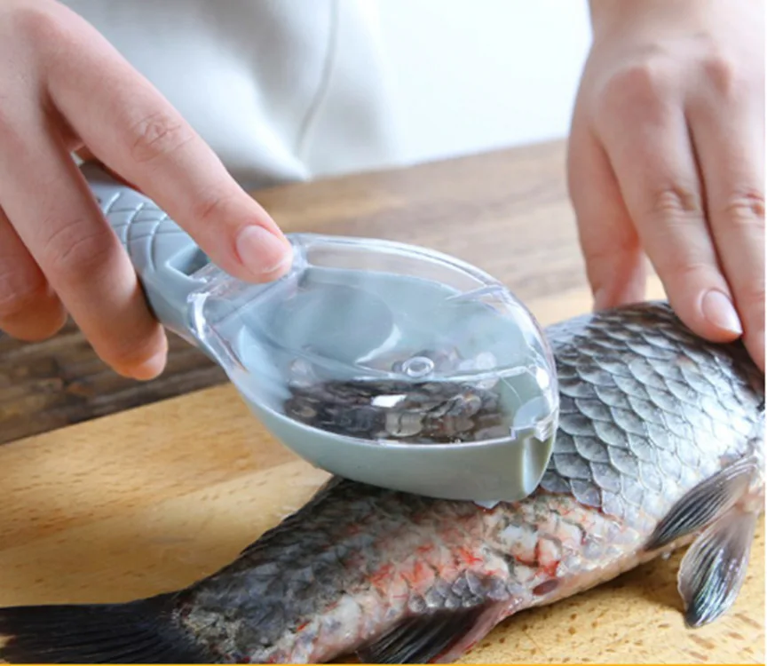 

Fish Scales Graters Scraper Fish Cleaning Tool Scraping Scales Device with Cover Home Kitchen Cooking Fishing Tool KitchenGadget
