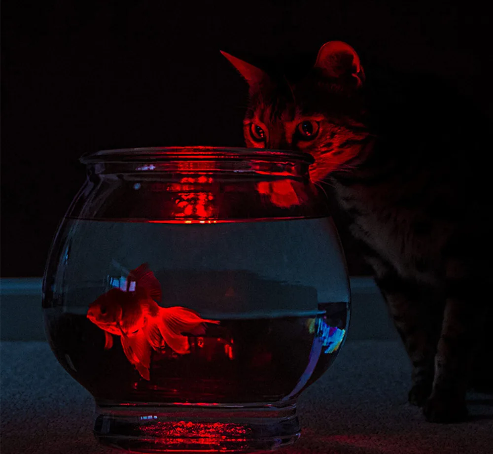 RGB погружной свет подводный светодиодный ночник плавательный бассейн для