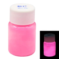 20g per bottle pink color luminous paint noctilucent powder fluorescence diy party creative glow in dark decorations for home