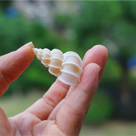 Лидер продаж натуральная ракушка Шиши улитка эпитоний скалярный образец