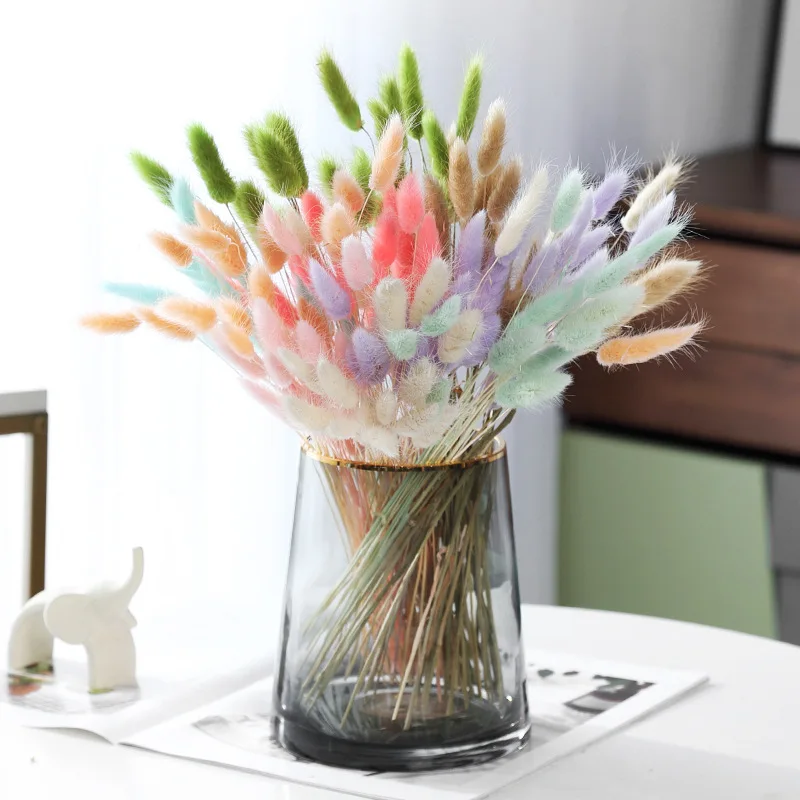 

20PcsLot Lagurus Ovatus Dried Flowers Rabbit Tail Pampas Grass Natural Plants Bouquet Home Decor Flores Artificiales Decoration