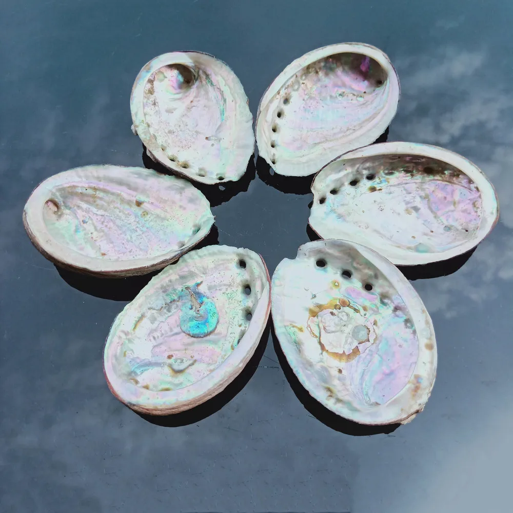 8 10 см Морская ракушка натуральная морское домашнее украшение мыльница