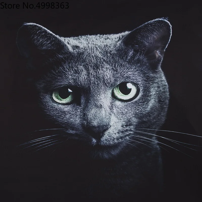 Комплект постельного белья с изображением животных Совы черного цвета рисунком