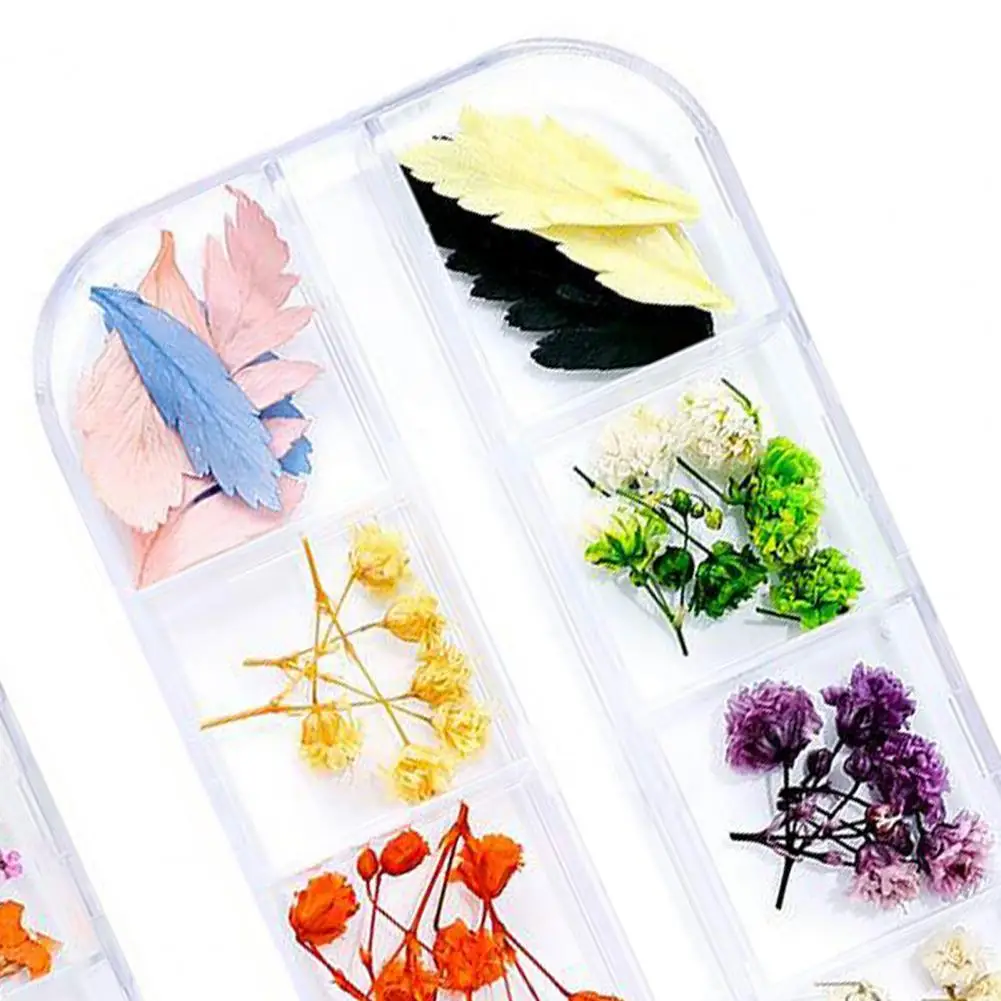 

2 Boxes/Set Nail Dried Sticker 3D DIY Multiple Colors Dried Flower Manicure Decals for Female Nail accessories