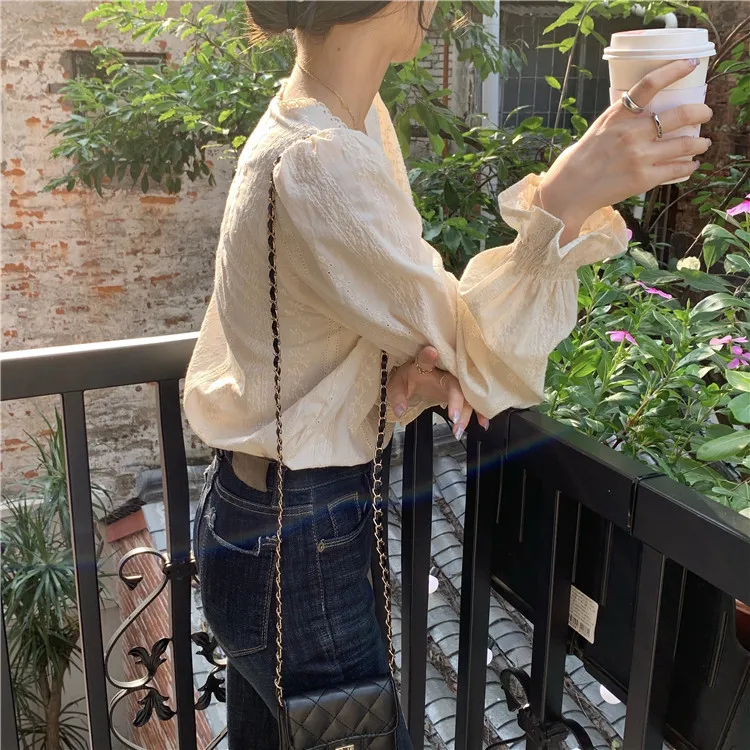 

French Style Temperament Korean Style Chic Top Gentle Retro V-neck Shirt Women's Design Sense Niche Spring Shirt Fashion