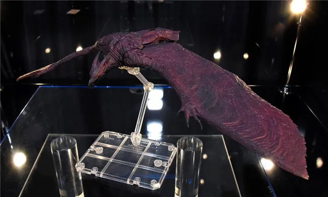 Экшн-фигурка из ПВХ Gojira Rodan Vs. Mothra Коллекционная модель игрушки | Игрушки и хобби