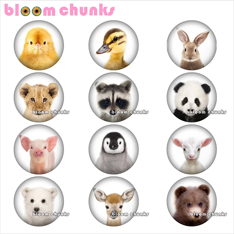 Круглый стеклянный кабошон для фото с изображением животных медведя панды