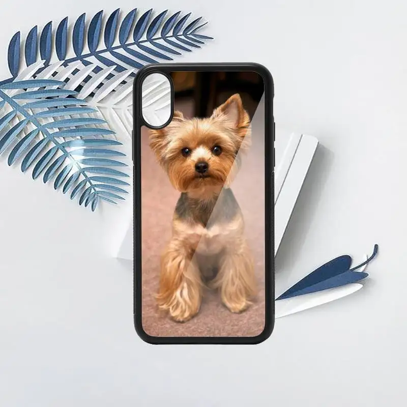 

Yorkshire terrier dog Phone Case TPU For iPhone X XR XS 11 12 mini Pro MAX 6 6S 7 8 Plus SE 2020