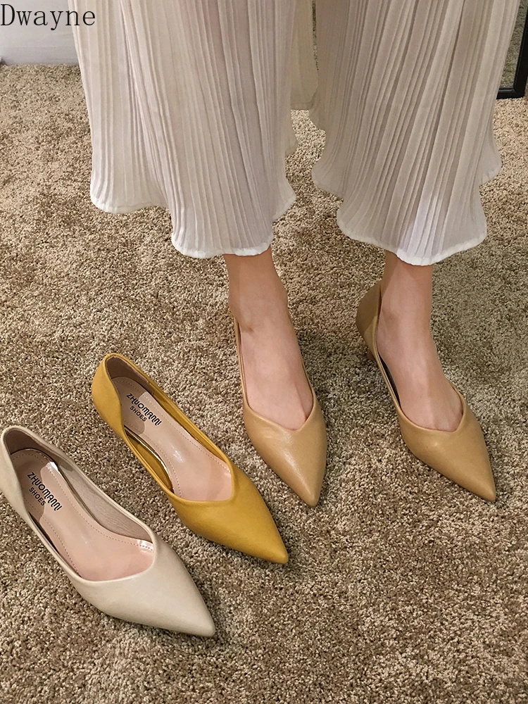 Тонкие Туфли с острым носком Женские осенние новые туфли на шпильках закрытым