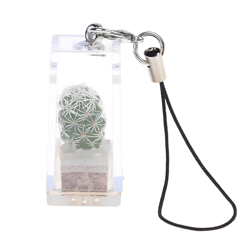 

Брелок для ключей с мини-суккулентами, кактусами и растениями, 1 шт.