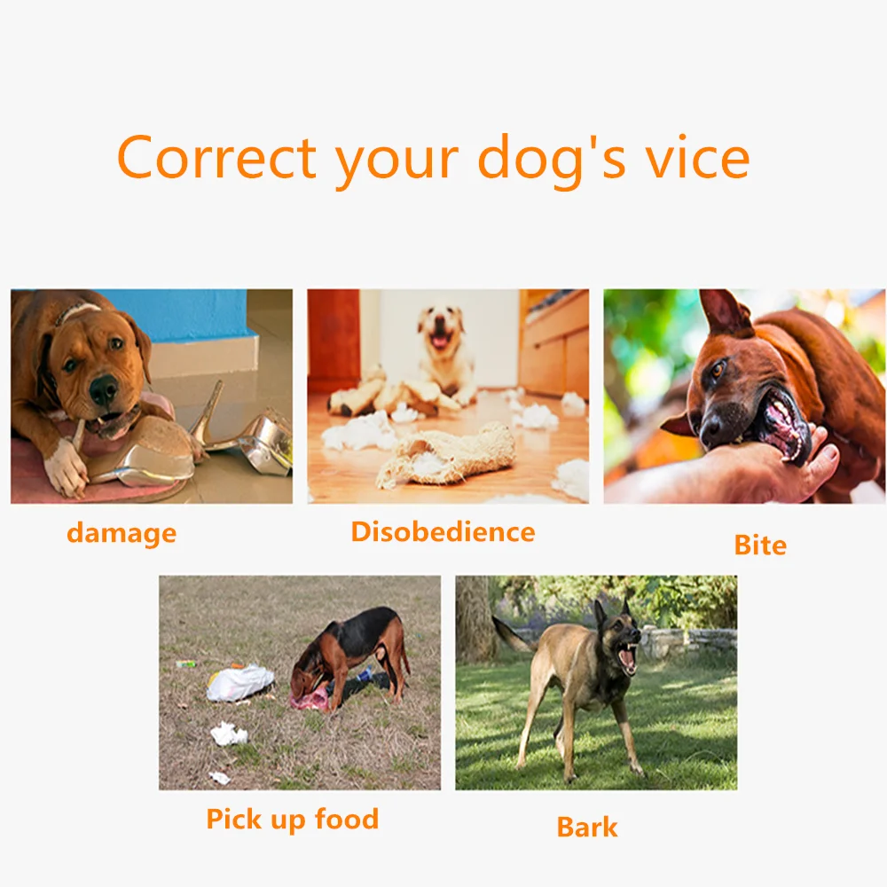 

Pet Dog Training Collar Waterproof Remote Control Rechargeable LCD for Small Big Dogs sound Anti-Bark Training Receiver 38% Off