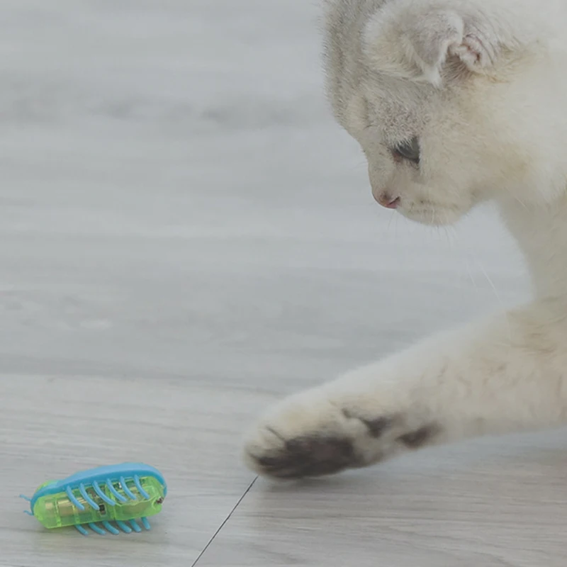 

New Mini Electric Dog Cat Pet Toy Interactive Cute Ladybird Beetle Shape Cat Toys Walking Insect Cat Supplies Funny Toys