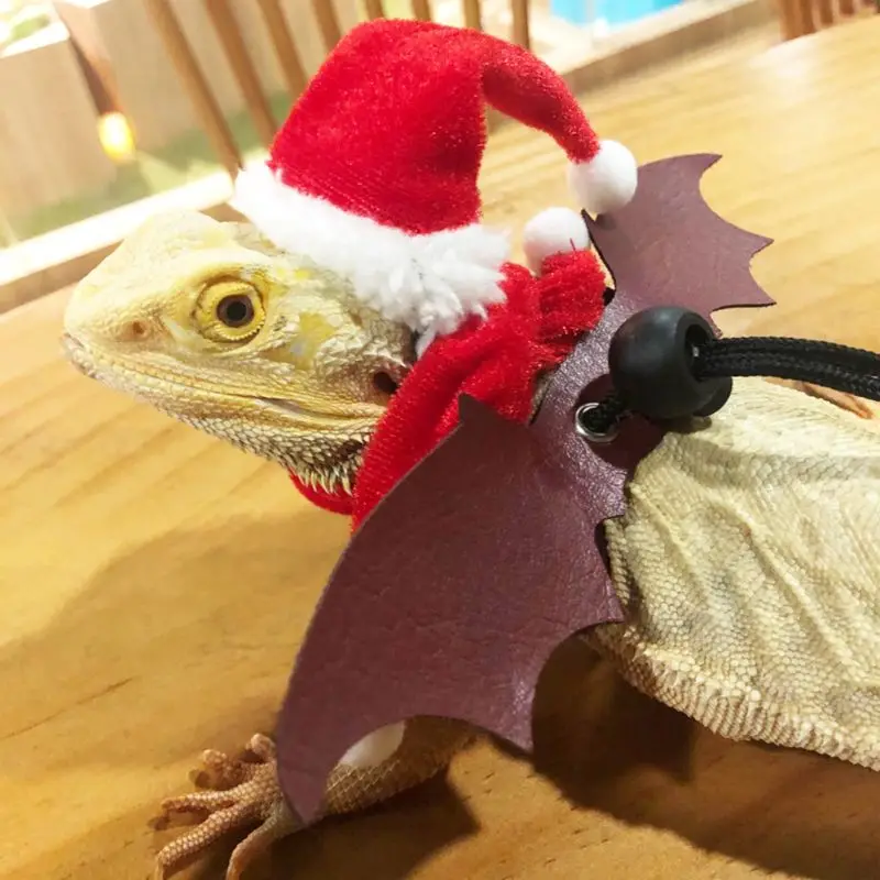 

2020 New Lizard Santa Hat with Elastic Chin Strap+Scarf+Traction Rope Christmas Costume Set Xmas Reptile Apparel Clothes Outfits