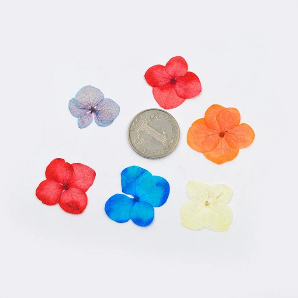 60 шт. разноцветные растения для цветов | Дом и сад