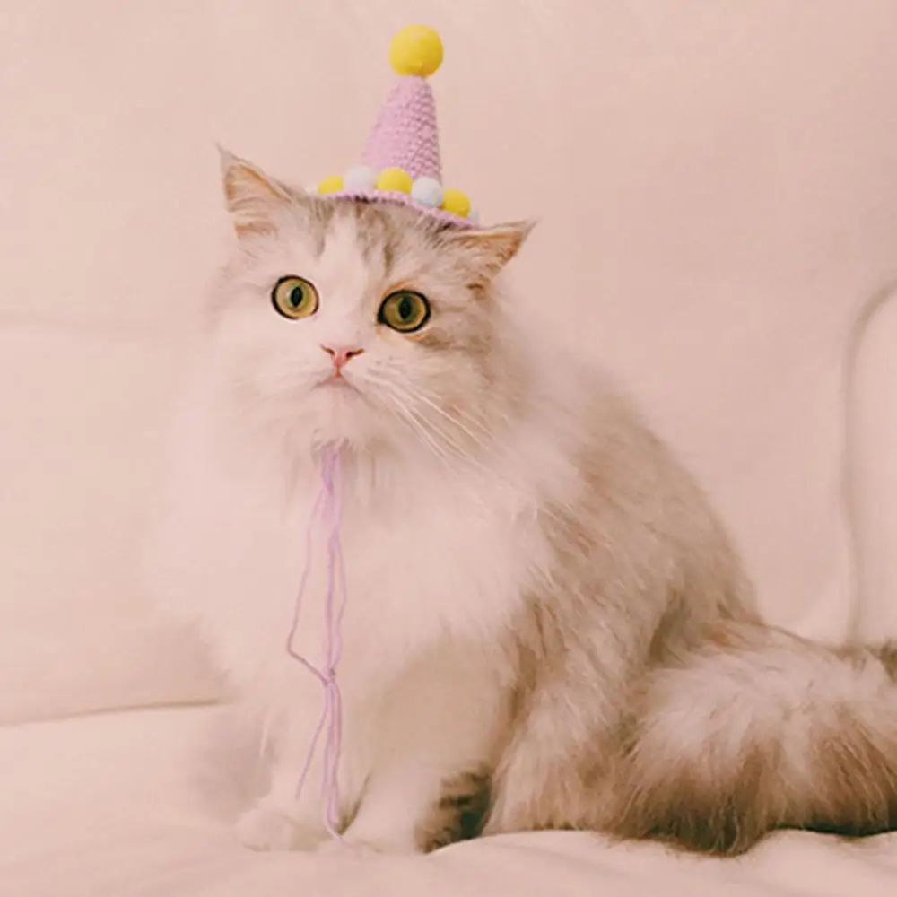 

Pet Hat Hand-woven Birthday Plush Ball Cap Photography Props Cat Dog Head Decor