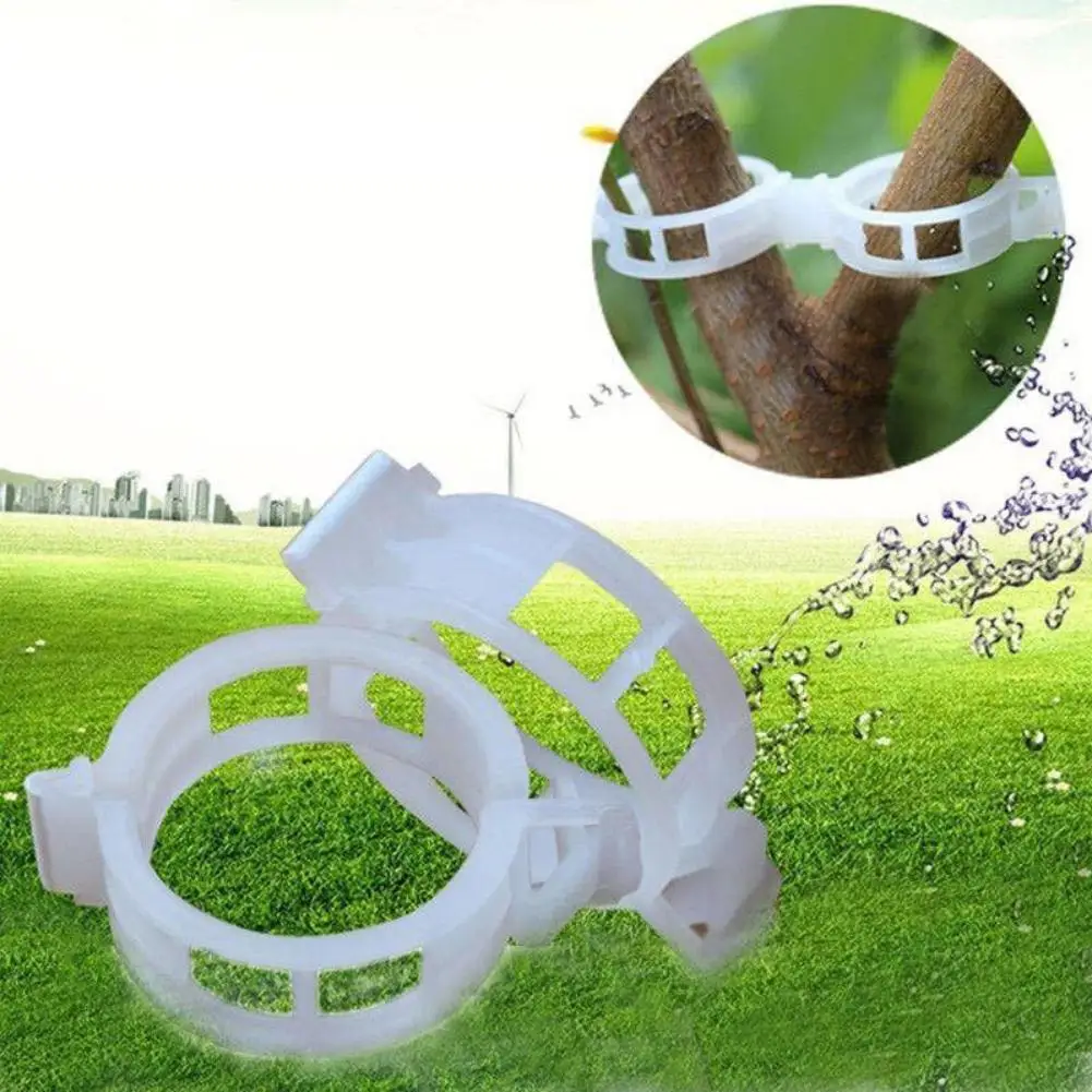 50/60 шт садовые зажимы для прививки растительные цветы виноградные кусты растения