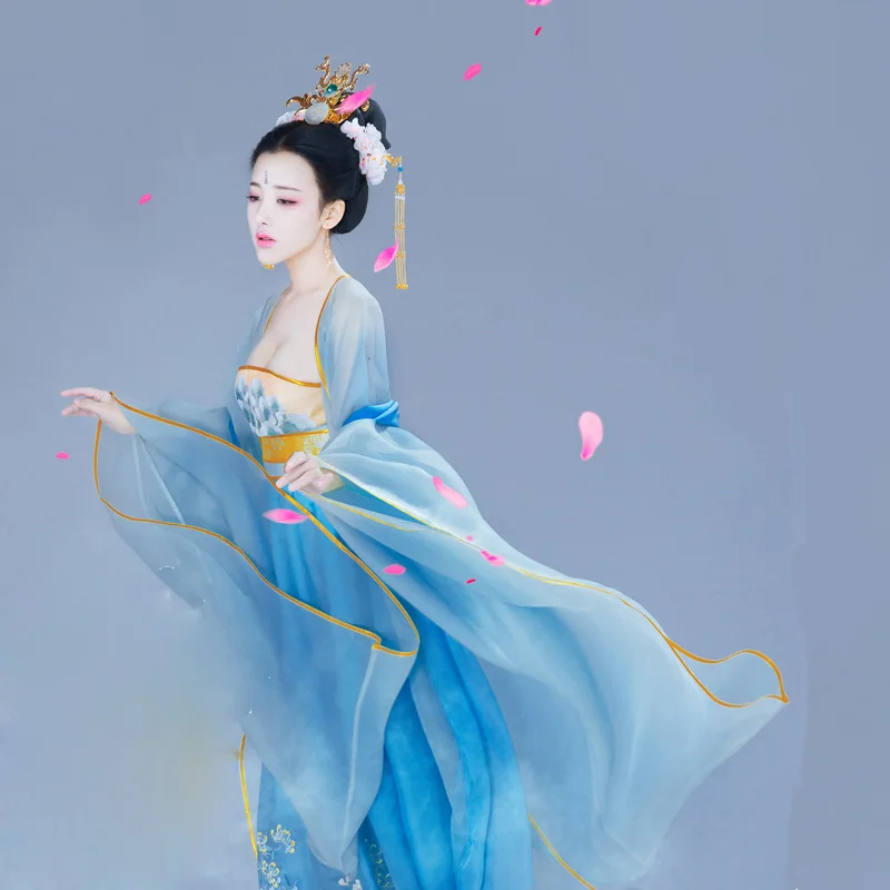 

WYJN Light Blue Print Chiffon Elegant Fairy Costume Tang Dynasty High Waist Ruqun Thematic Photography Cosplay Drama Stage Hanfu