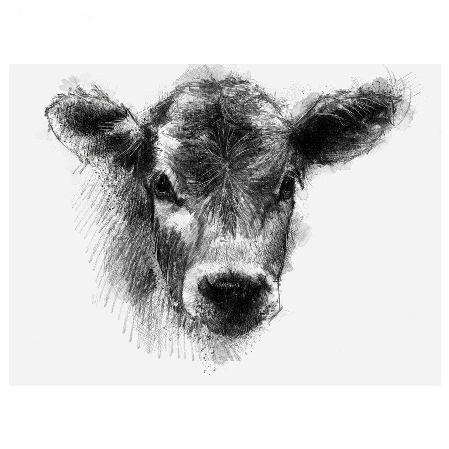 

Алмазная 5D Вышивка «сделай сам», животное, крупный рогатый скот, алмазная живопись, аксессуары для вышивки крестиком, полный набор стразы, м...