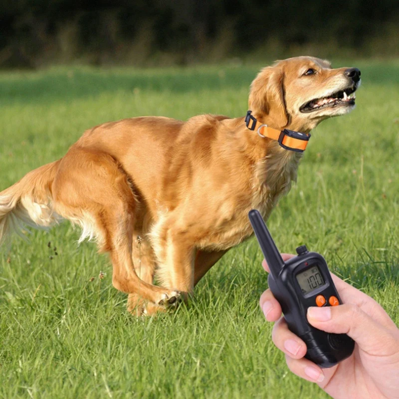 

US Plug Pet with 300M Remote Dog Training Collar with LCD Blue Sn