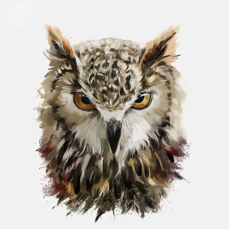 

Sharp Eyes Of The Owl PVC High Quality Car Sticker 12.4CM*15.4CM